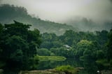Thekkady and the spice trail