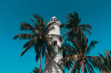 Galle heritage and river safari