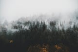Through the Black Forest to Zurich
