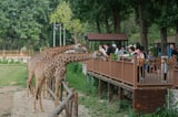 Safari World with Marine Park