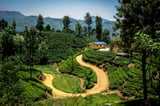 Sigiriya Rock Fortress and cultural highlights of Kandy
