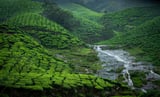 Munnar's scenic mountain circuit