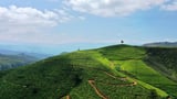 Kandy heritage and Nuwara Eliya highlands