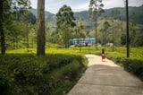 Nuwara Eliya city tour and Ramayana heritage trail