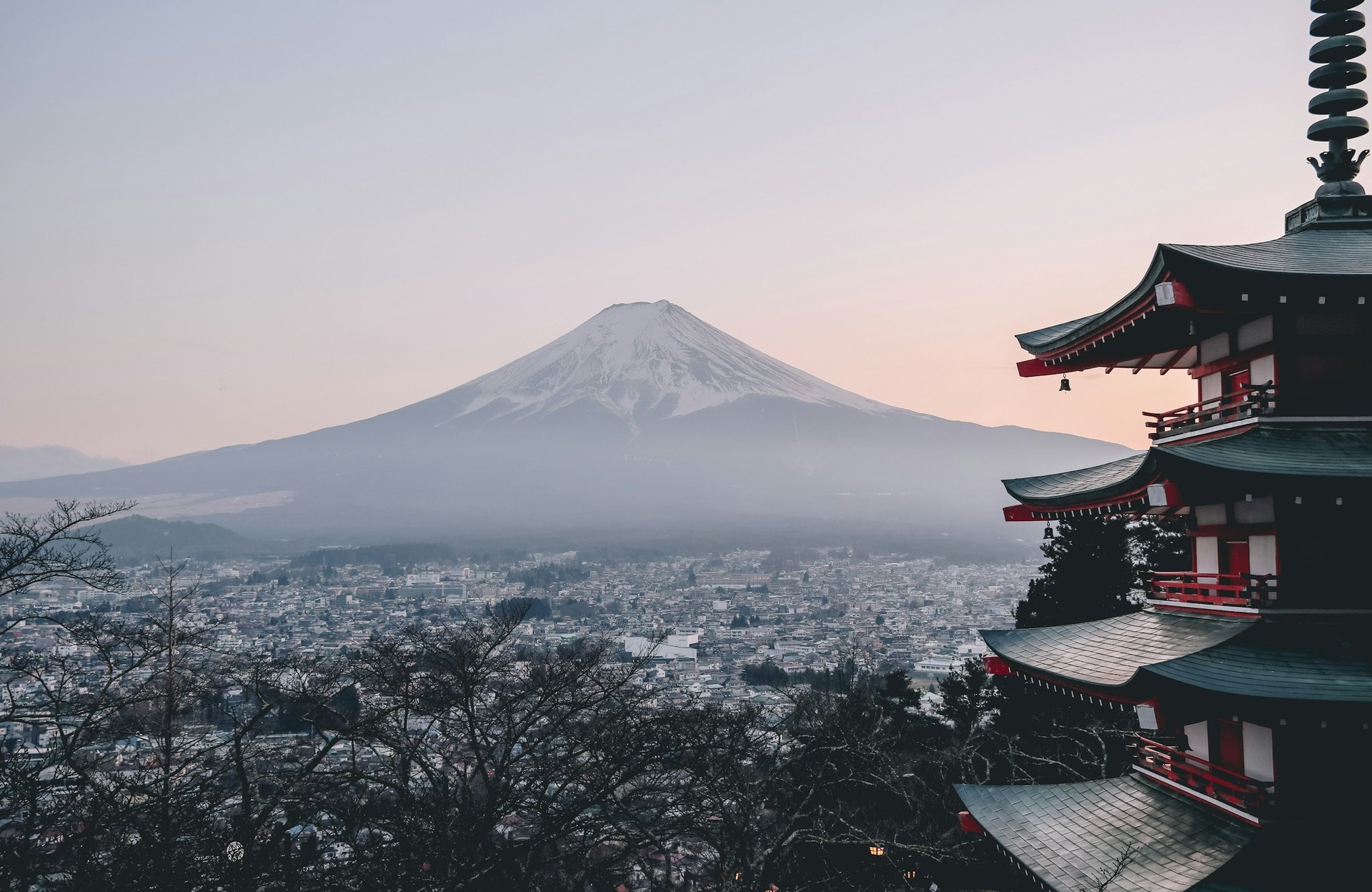 Japan 2027 Cherry Blossom Group Tour
