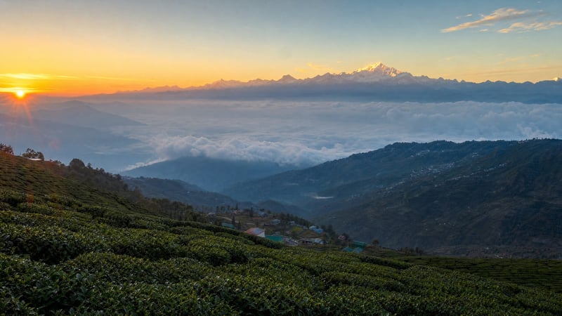 Gangtok & Darjeeling in Style