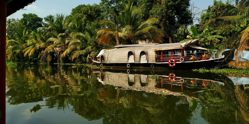 Kerala in Bloom: Munnar, Thekkady and Alleppey